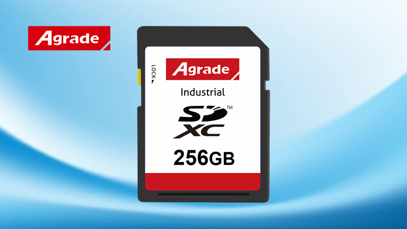 SD速度能夠達到多少？