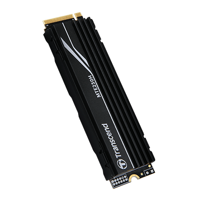 PCIe M.2固態硬盤|PCIe SSD 250H